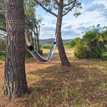 La Pinede